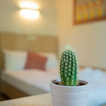 Hostal Sparks